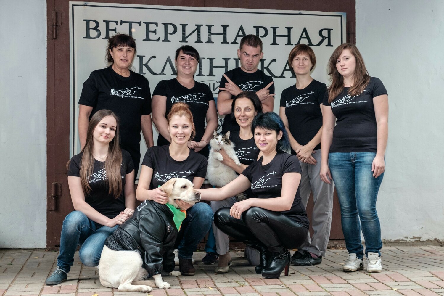ветеринарная клиника отрадное, ветеринарное, ветеринарная клиника, ветклиника надежда, домашние питомцы