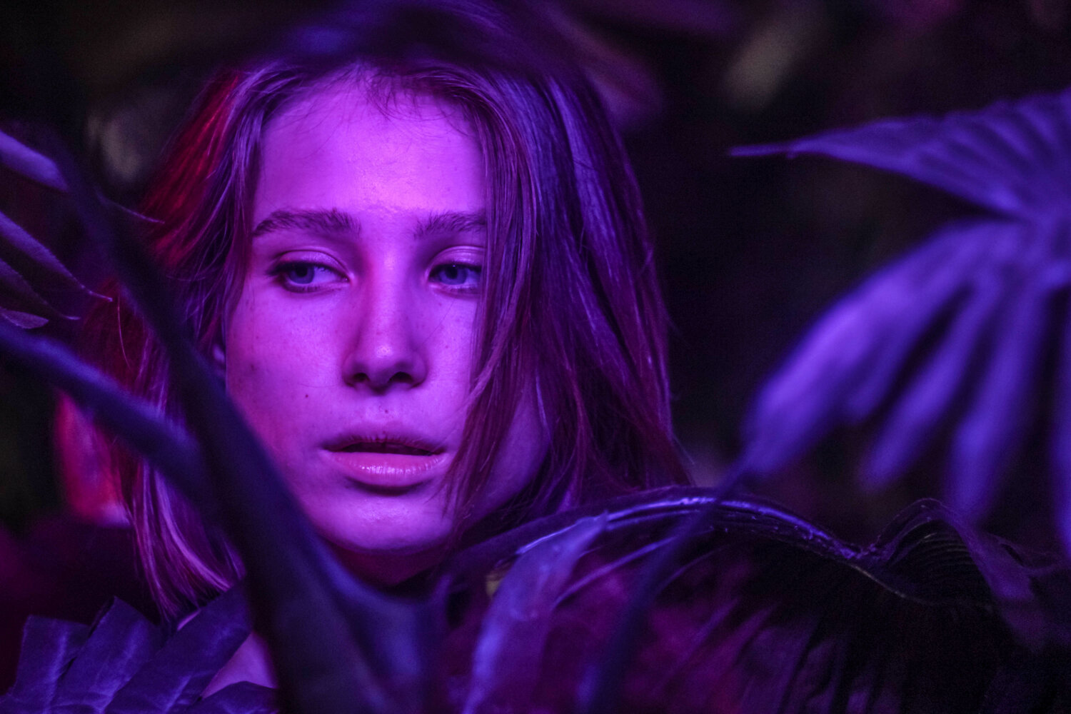 кадр из фильма, глитч rgb, фэнтези, alleria windrunner, времен