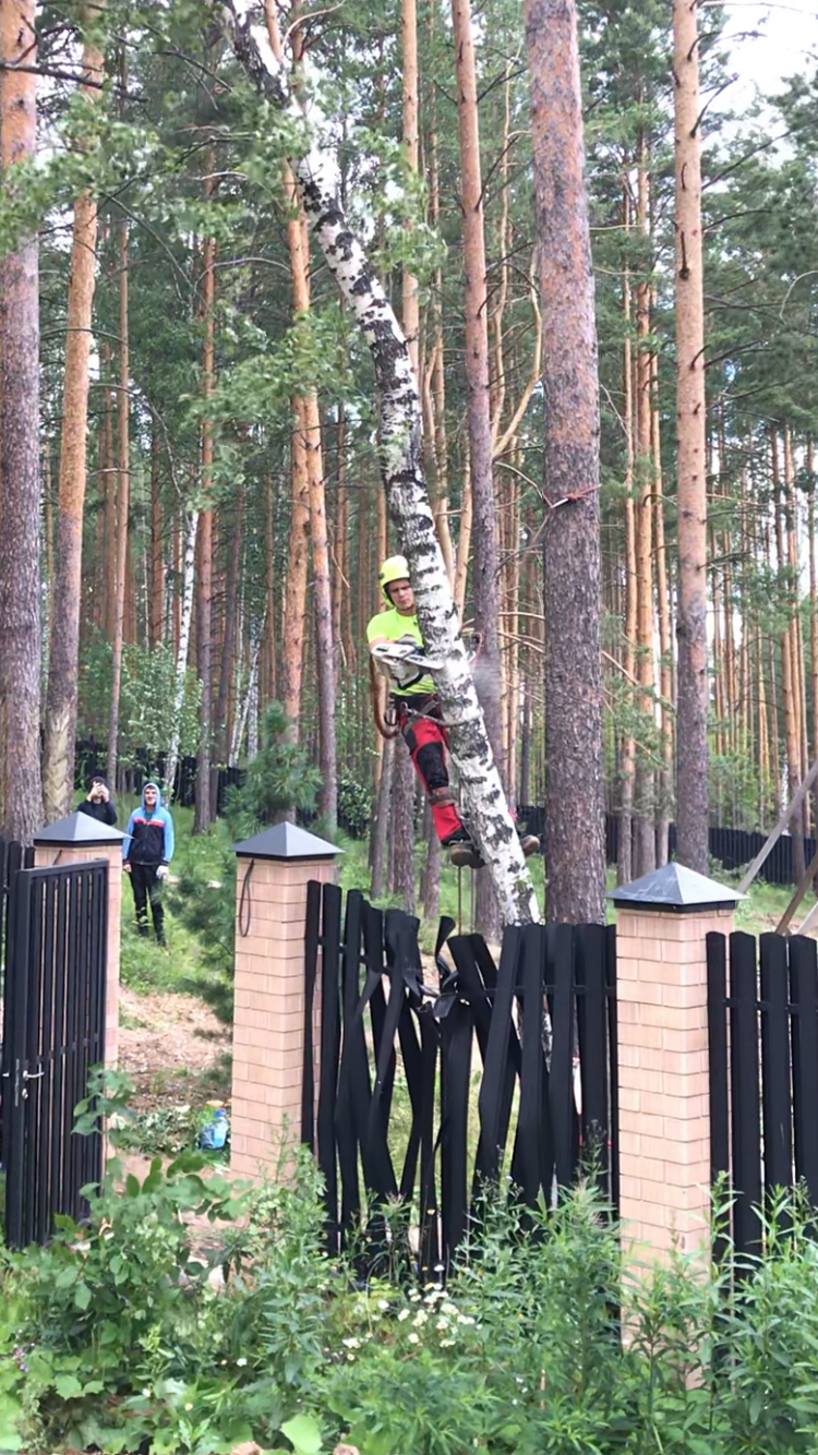 веревочный парк в лесу екатеринбург, верёвочный парк в пскове раздолье, парк орех, канатный парк, вороний хутор веревочный парк