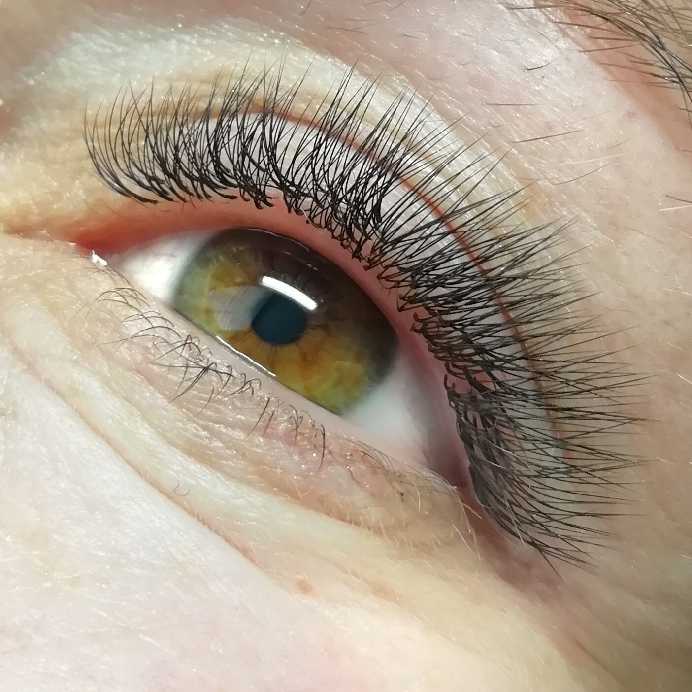 ресницы, наращивание ресниц, ресницы 2 д пореснично, склеенные ресницы наращивание, ресницы 2д классика