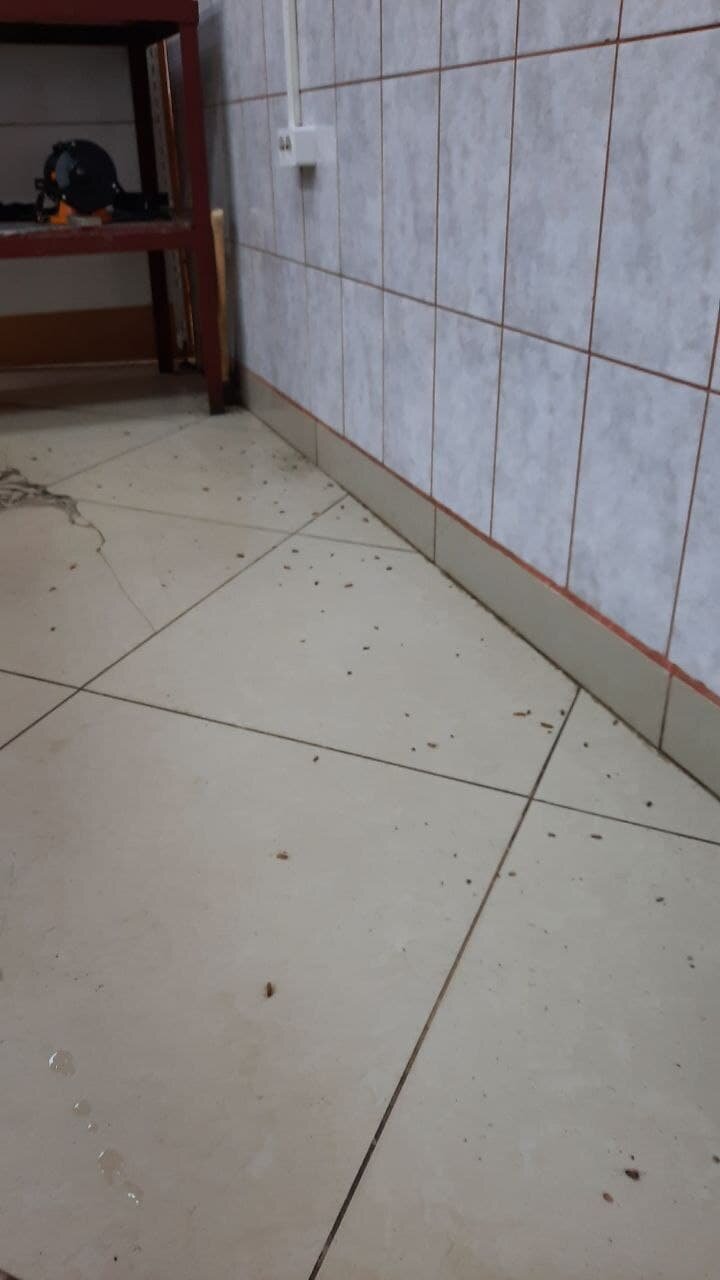 затирка для белой напольной плитки, напольная плитка, укладка керамогранита по диагонали на пол, пол, плитка в мопах