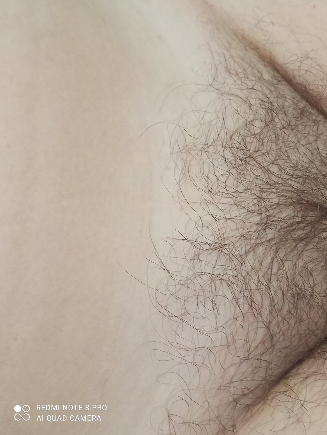 лобковые волосы макросъемка, волосы, лобковые волосы текстура, hairy