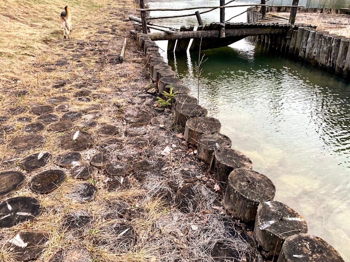 пруд, форелевый пруд, коломенское ручей, водоем, река