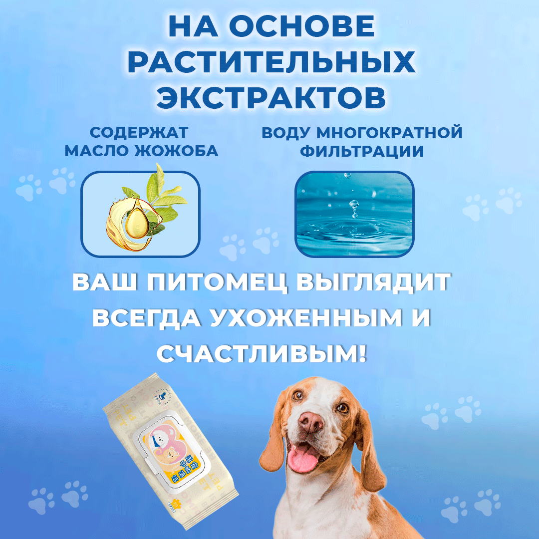 флайер ветеринарной клиники, ветеринарная клиника лендинг, домашние питомцы, товары для животных, собачки