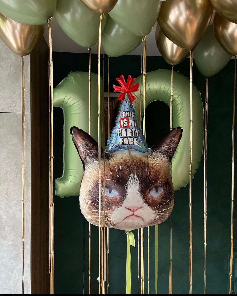 воздушный шар, кот, кошка, шар недовольный кот, шар кот в колпаке