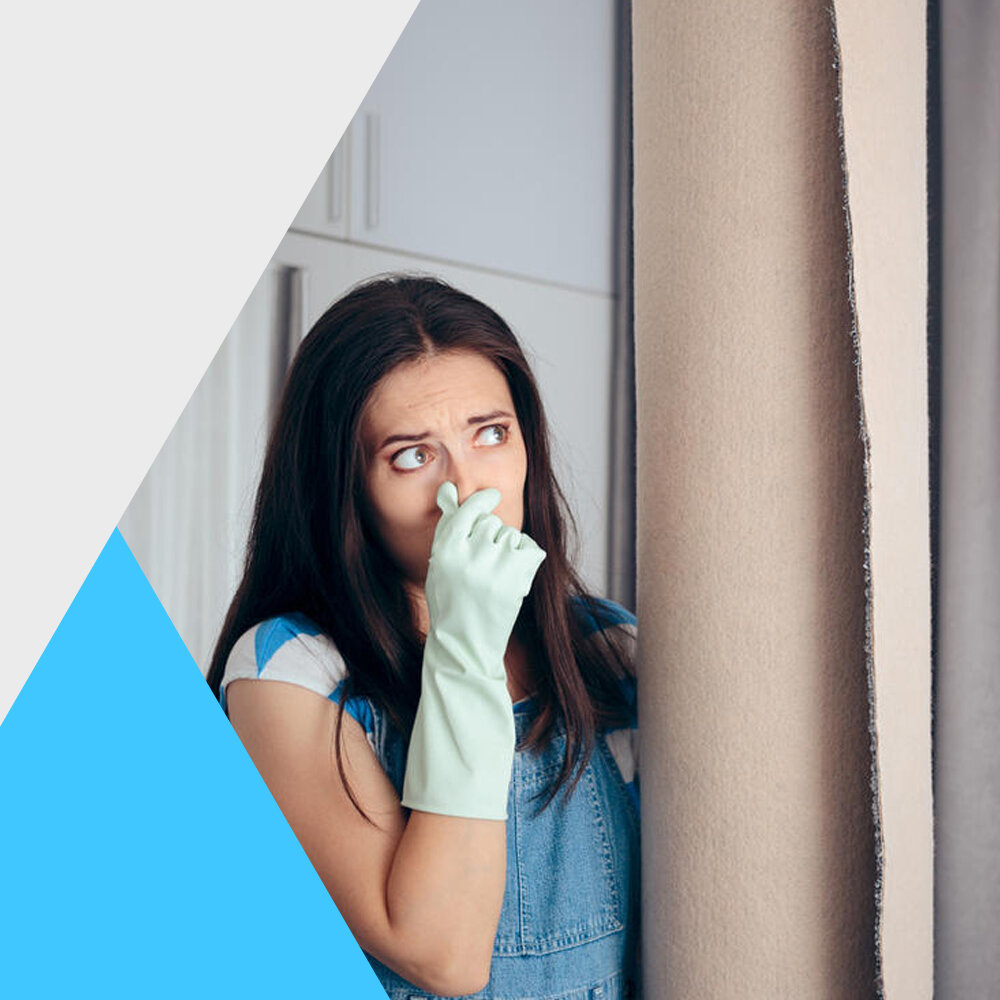девушка, неприятный запах сток, генеральная уборка, в квартире, microstomia prevention split
