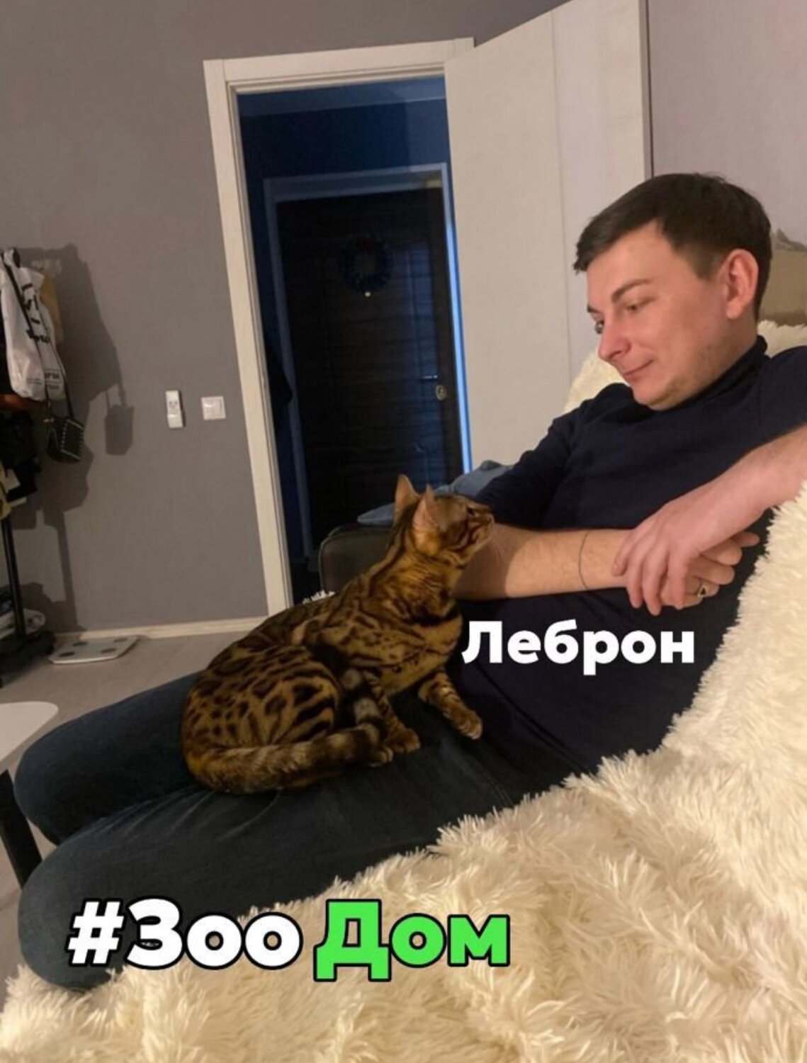 бенгальская кошка, бенгальский кот, бенгальский кот бен 24, бенгальская кошка самка, кот породы бенгал