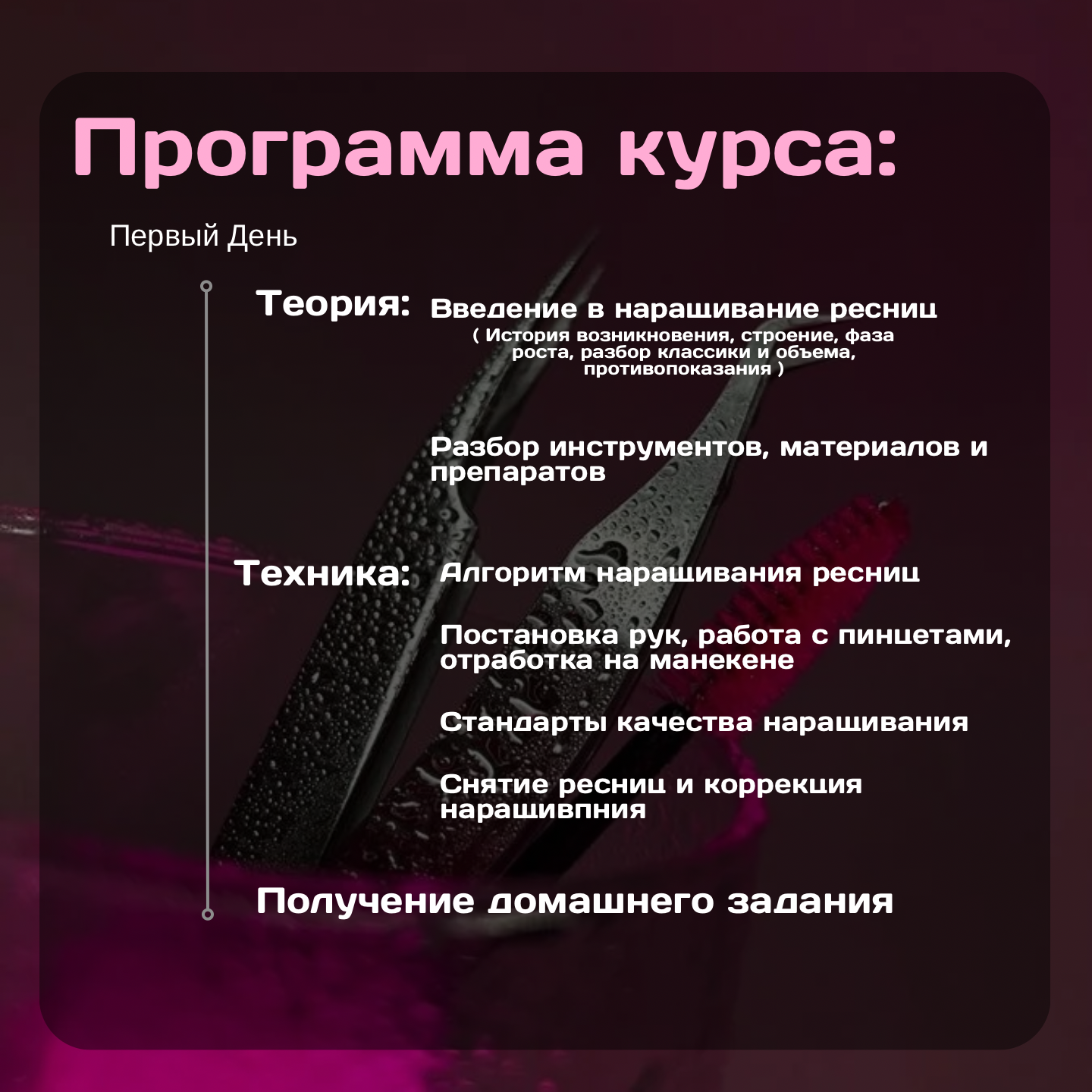 курсы, программа мероприятия, техника, текст, курсы наращивания ресниц