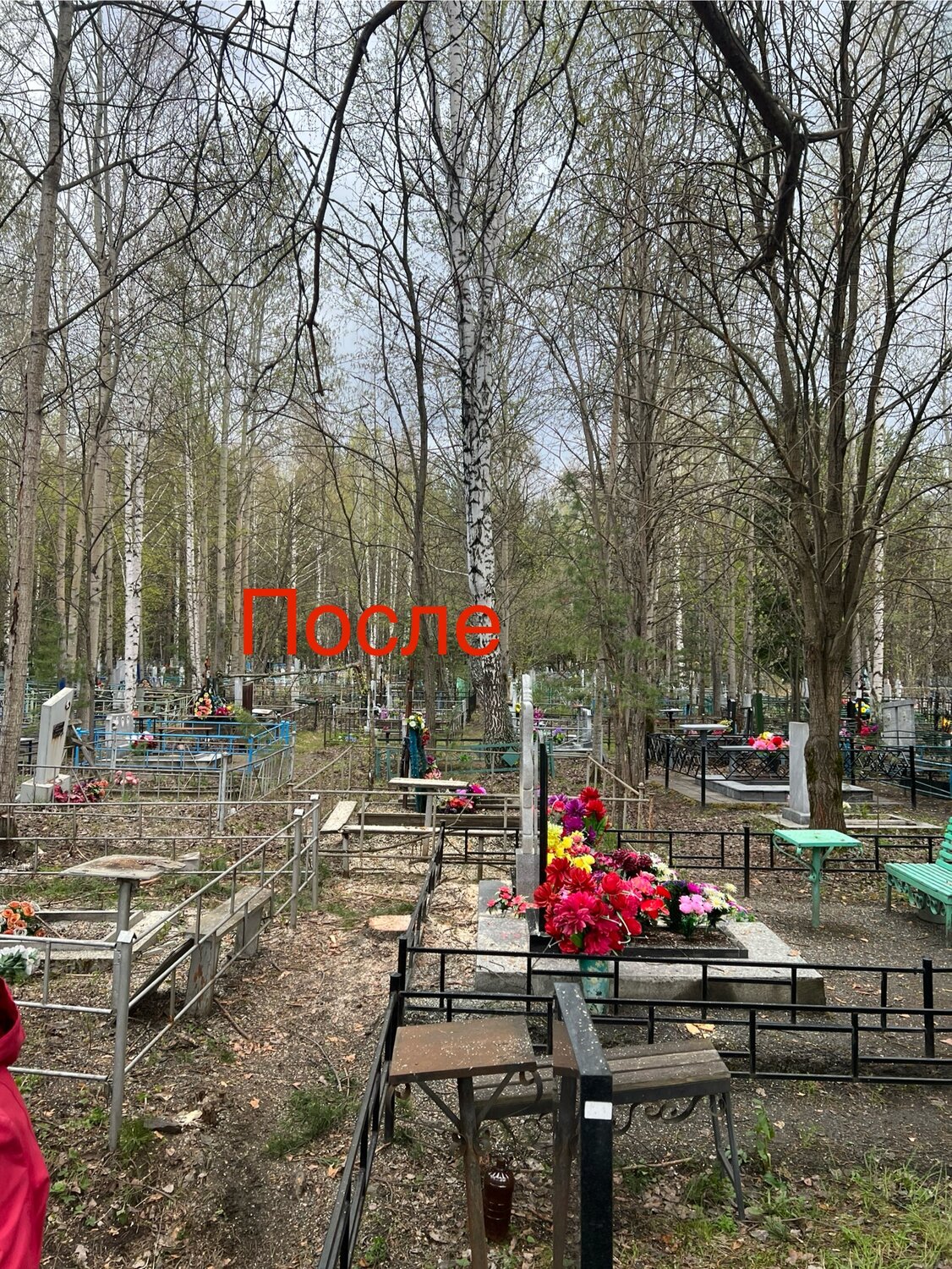 кладбища кладбище, кладбище, воскресенские кладбище, кладбище в деревне, сатино-русское кладбище