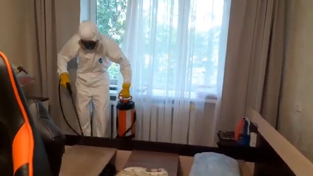 дезинфекция, дезинсекция, дезинфекция от клопов в квартире, дезинфекция дезинсекция дератизация, дезинфекция от клопов
