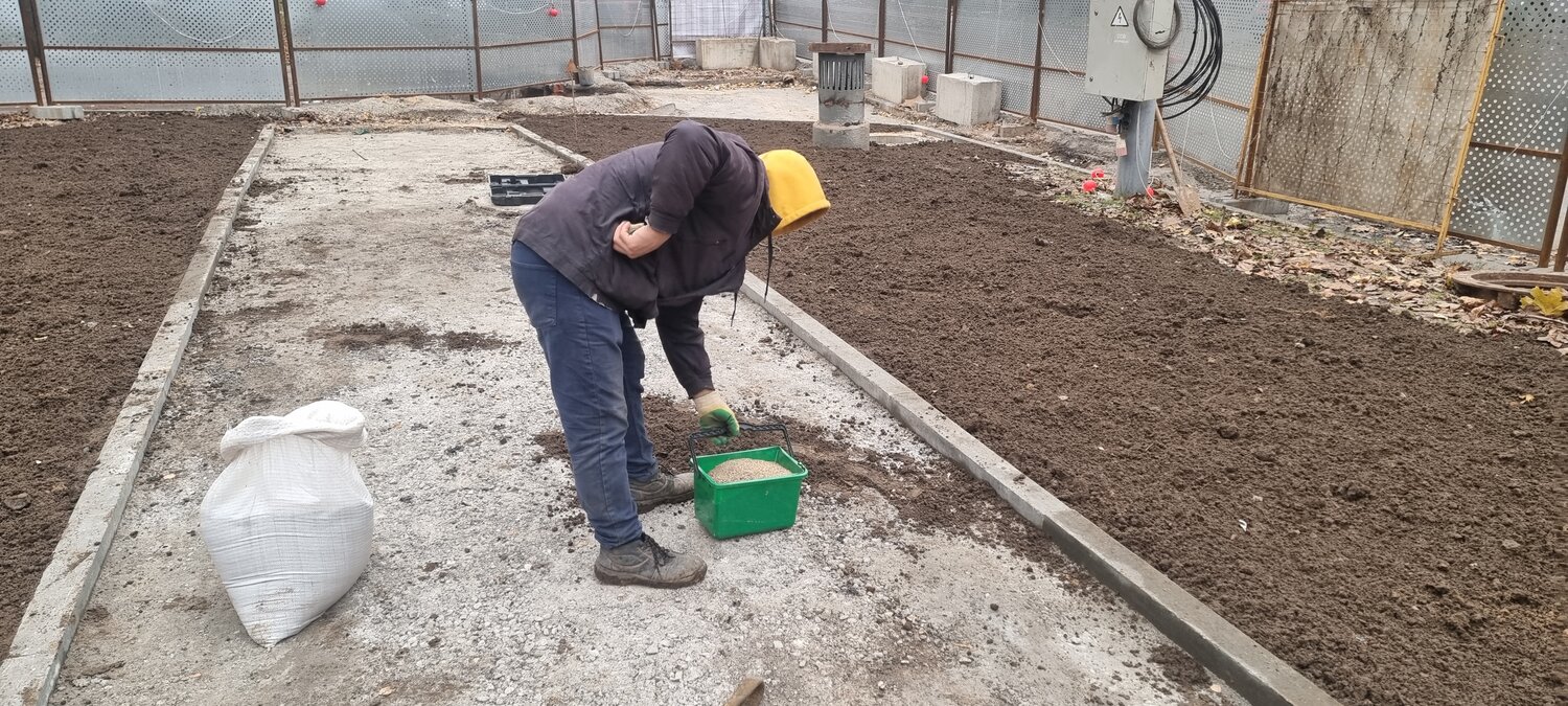 подготовка почвы в теплице, подготовка почвы для теплицы, на огороде, удобрение для теплицы, обработка земли перед посадкой