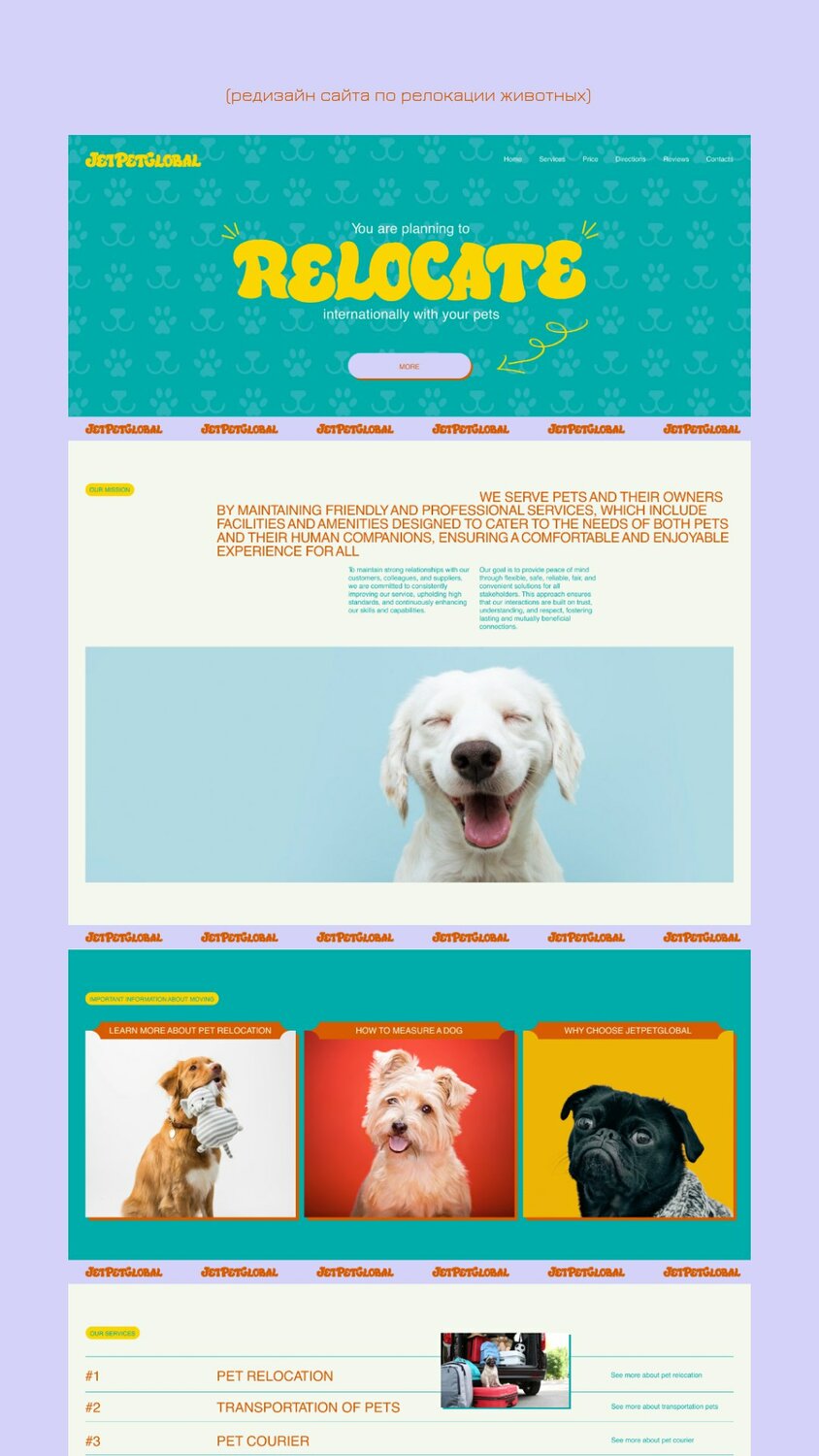 шаблон сайта зоомагазина, собака, собака на синем фоне, собака 🐕, лендинг зоомагазина
