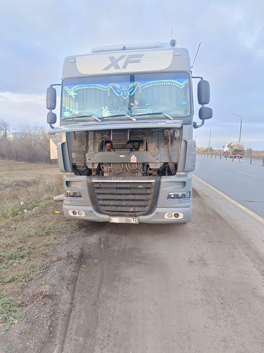 daf xf 105, daf xf, ����������������, ���������������� ��������������������, ���������������� ������