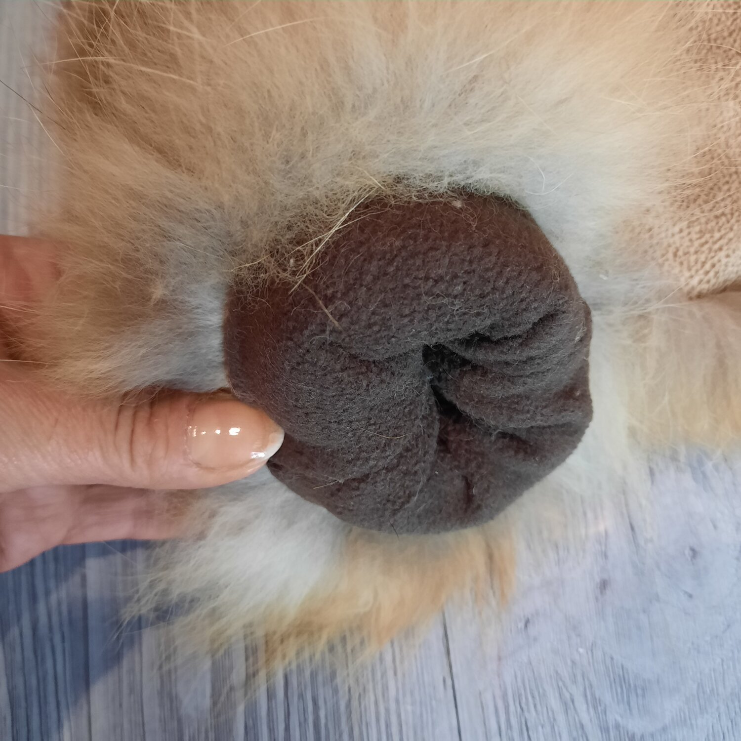 нос у собаки, собачий нос, нос медведя макро, нос собаки опущенный вниз, dog nose