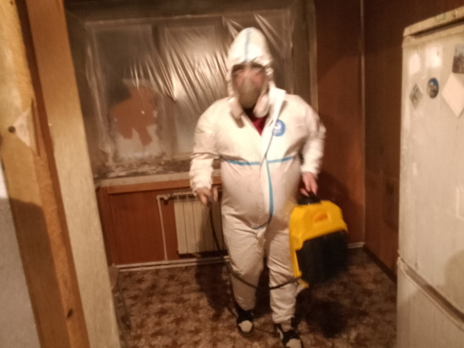 дезинфекция клопов, дезинсекция, дезинфекция клопов мытищи, дезинфекция от клопов, дезинфекция от клопов в новосибирске