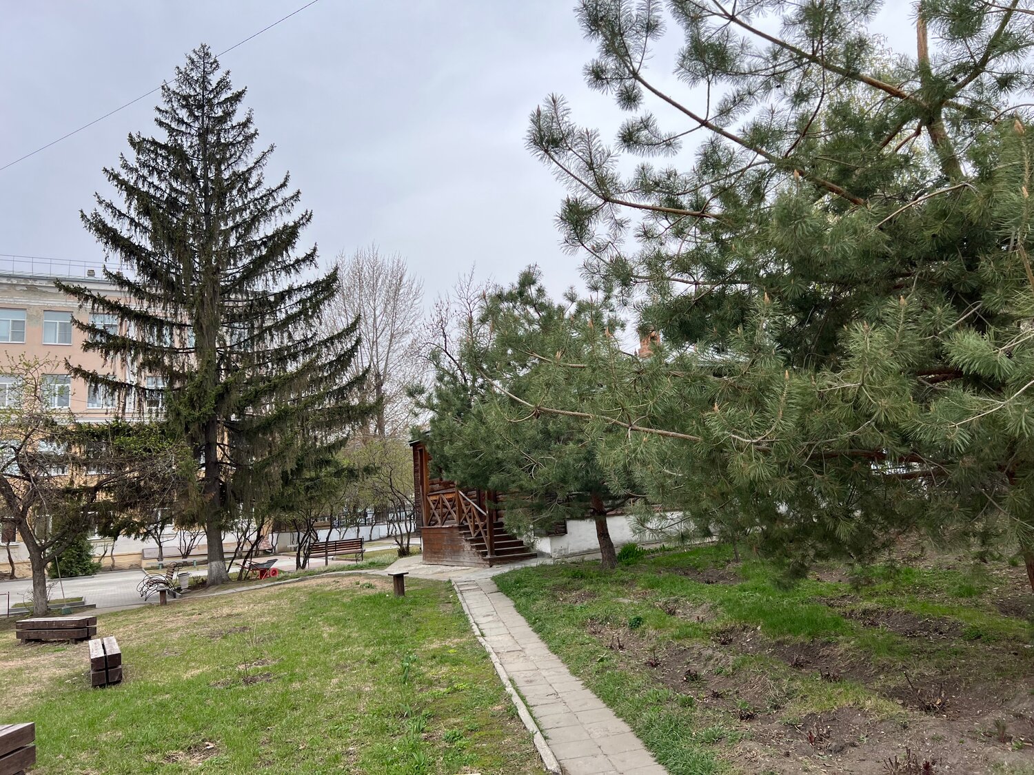 природа, сосновый бор подмосковье парк, парк, городской парк, сосновая роща кореновск