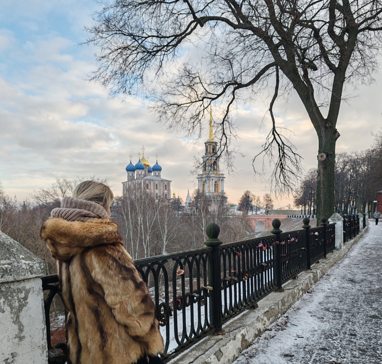 рязань кремль, рязанский кремль рязань, кремль рязанский, ryazan kremli, рязань кремль зима