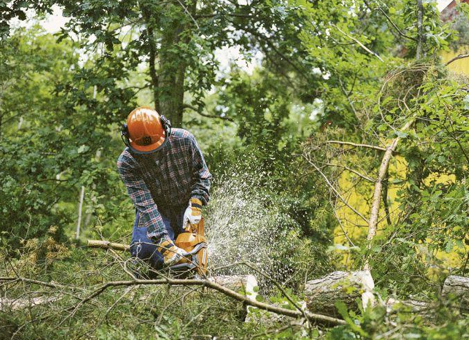 кусторез хускварна 545fx, кусторез бензиновый husqvarna 545fx, хускварна 545 кусторез, триммер husqvarna 545fxt, кусторез бензиновый husqvarna 555fx