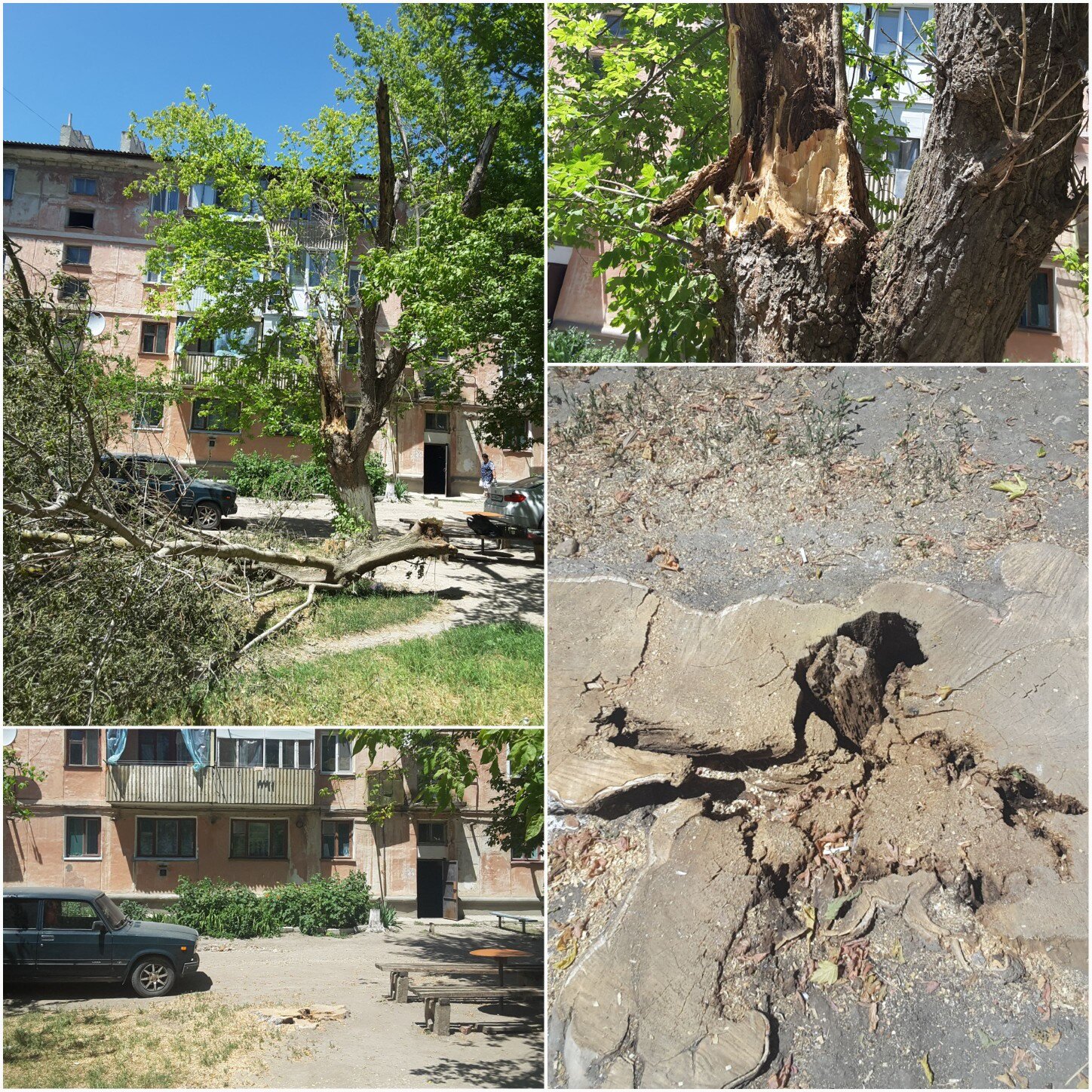 во дворе, дербент стройка, здание, ташсельмаш ташкент, стройка ялта щорса