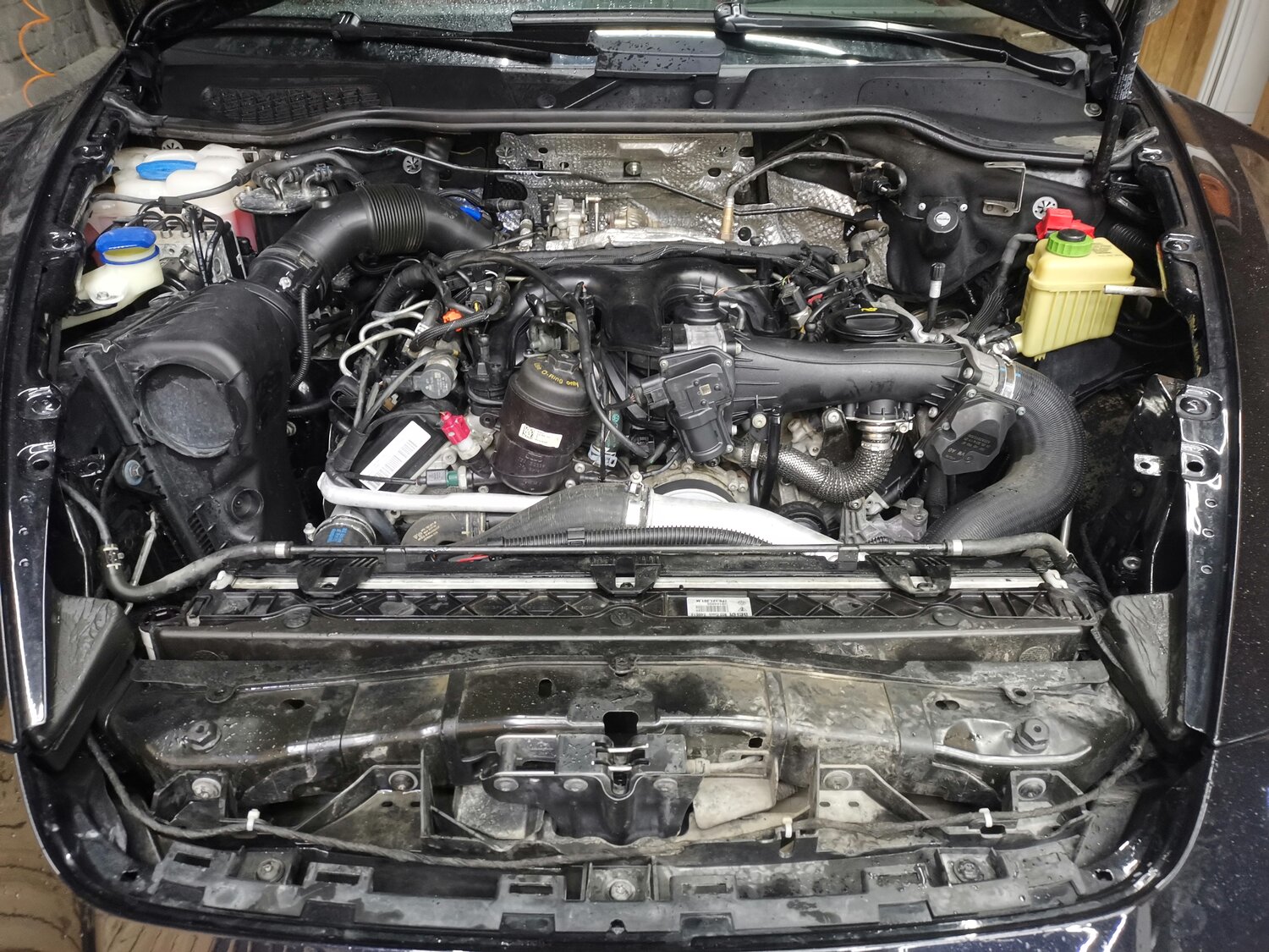 hyundai solaris гбо, kia rio гбо, хонда прелюд моторы, nissan sentra гбо, honda odyssey гбо