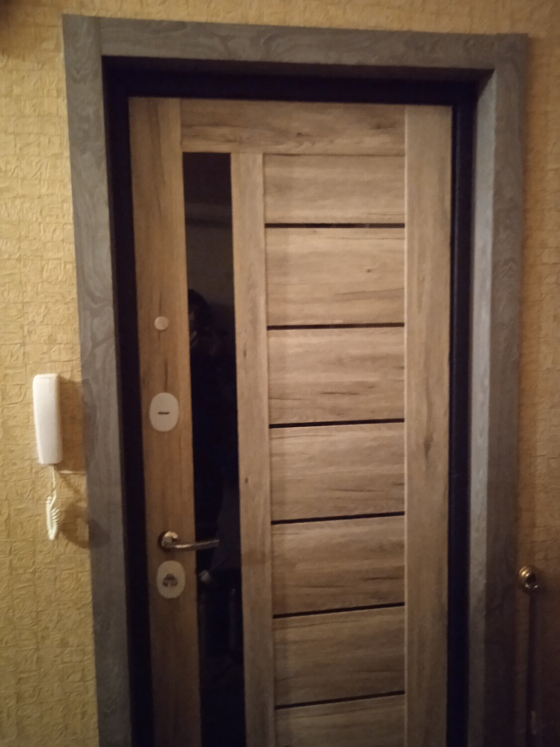 дверь, входные двери, межкомнатные двери, металлические двери, отделка входной двери