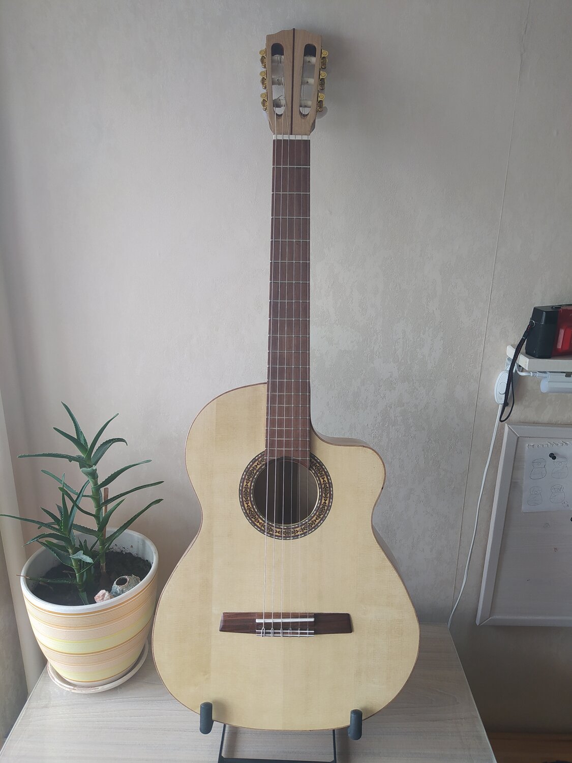 классическая гитара, гитара, гитара классическая yamaha gc22s, гитара классика, классическая гитара hohner hc-06
