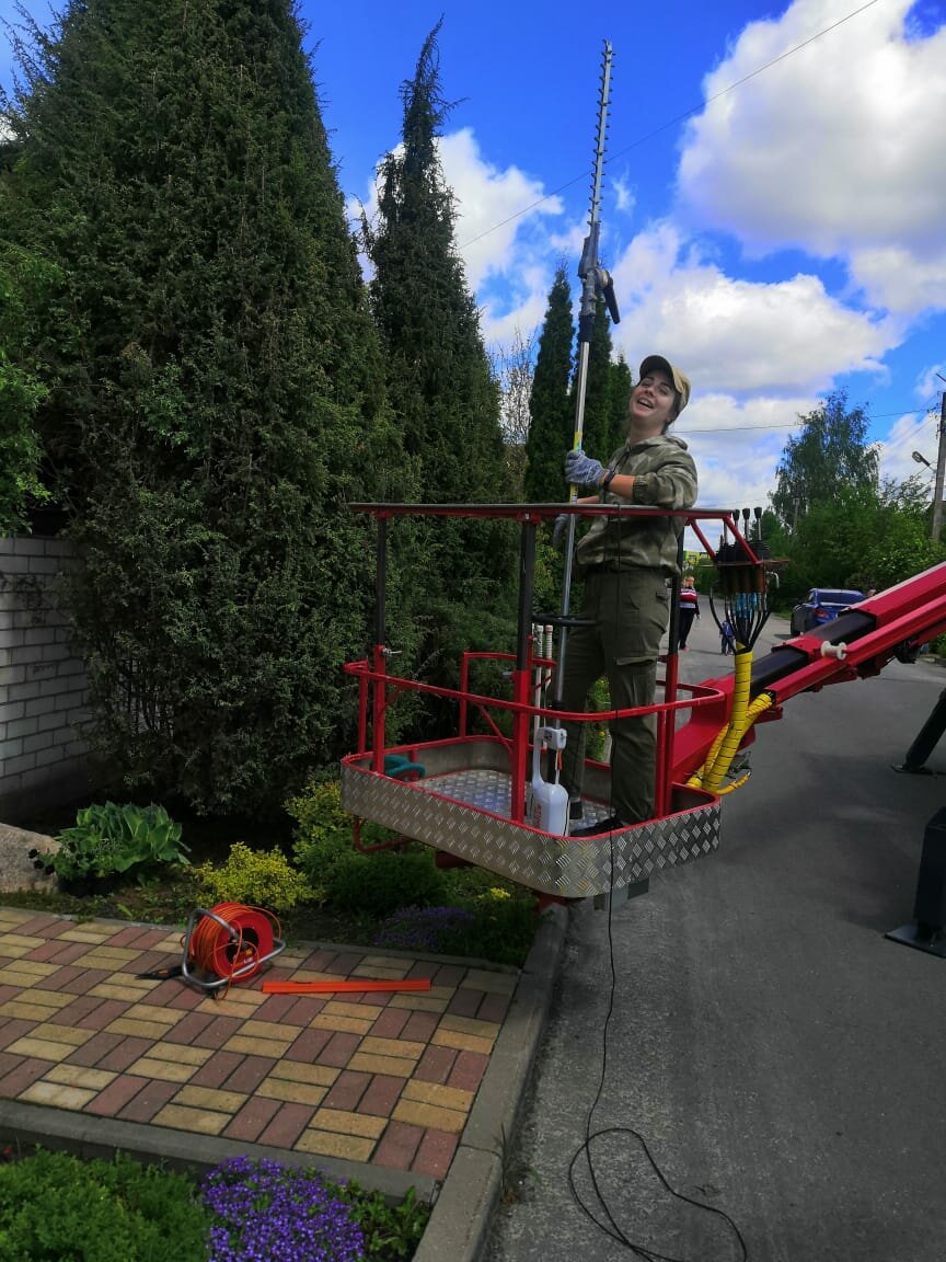 гиганты на детской площадке, на детской площадке, детская площадка, дворовая детская площадка дерево, проект детской площадки