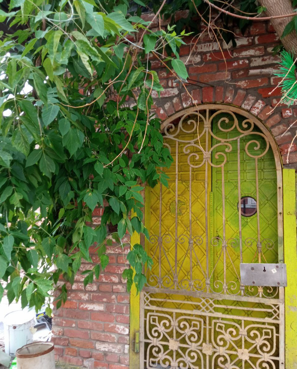 старые ворота, кованная калитка, металлическая калитка, парадная дверь, калитка