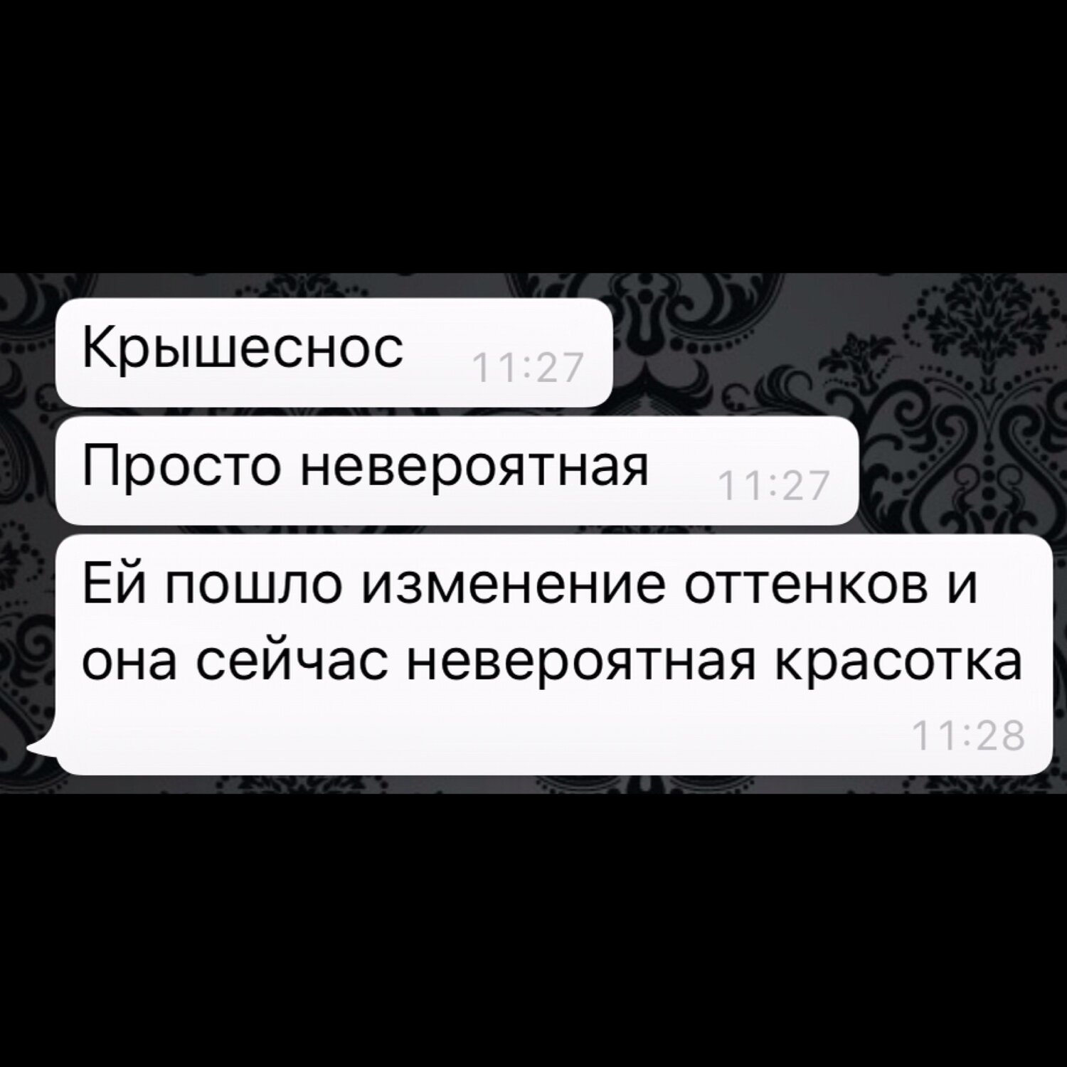 текст, переписки, человек, смешные переписки с коллегами, переписка студентов