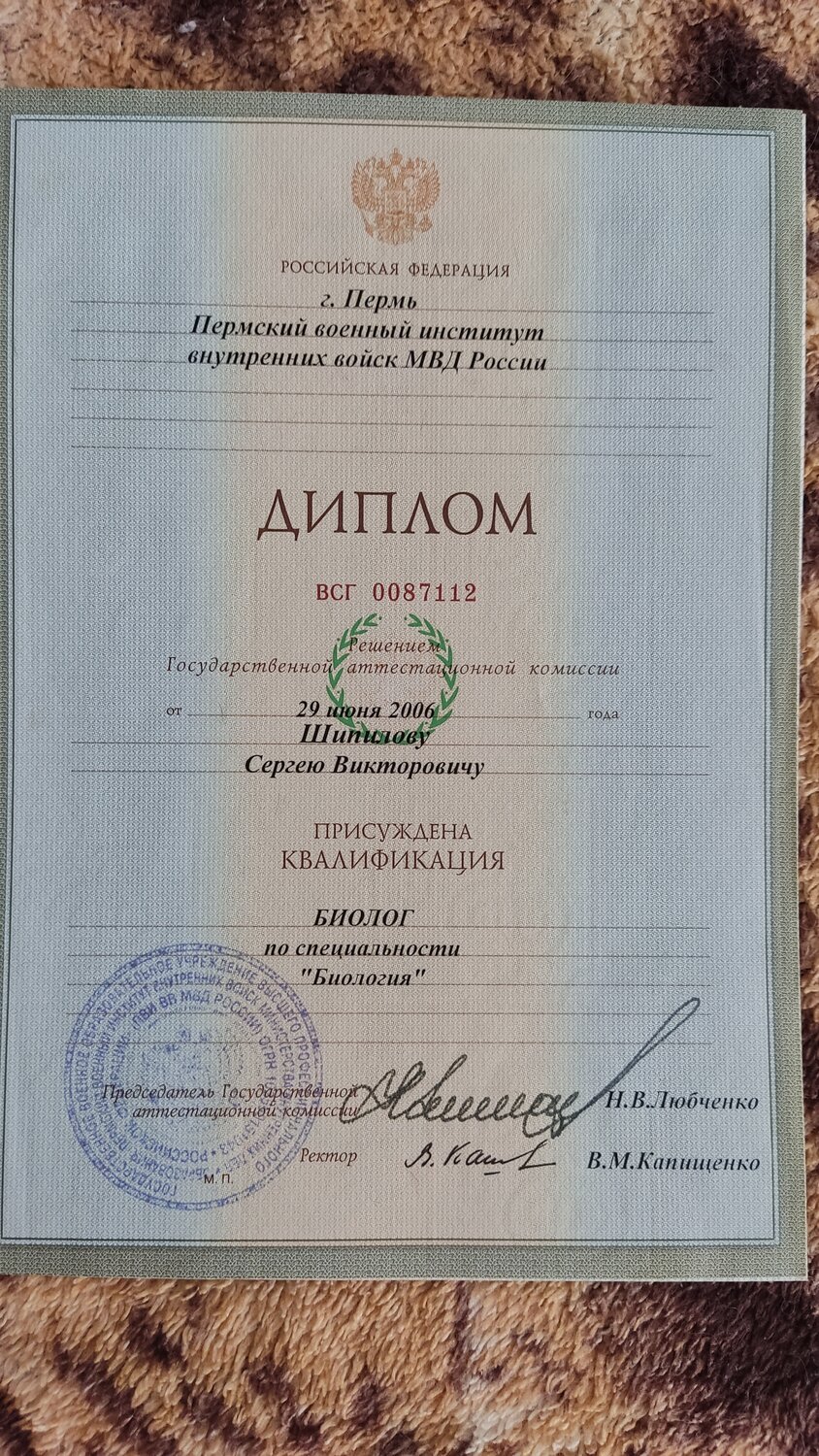 диплом, диплом о высшем, диплом санкт-петербургский государственный университет, диплом психолога, золотой диплом в институте