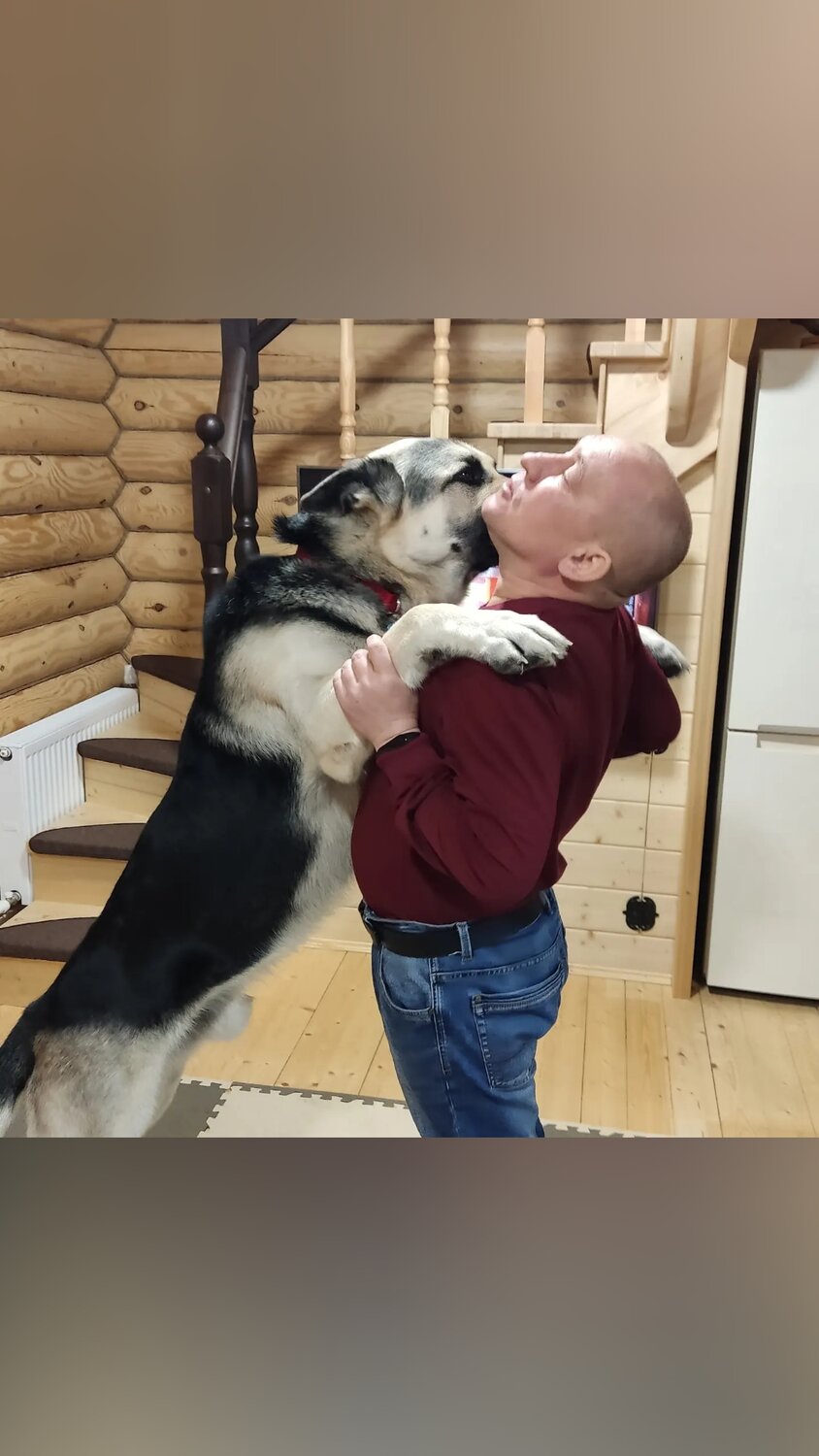 хаски, девочка с собакой, домашние питомцы, добрые собаки, жизнь с 10 хаски
