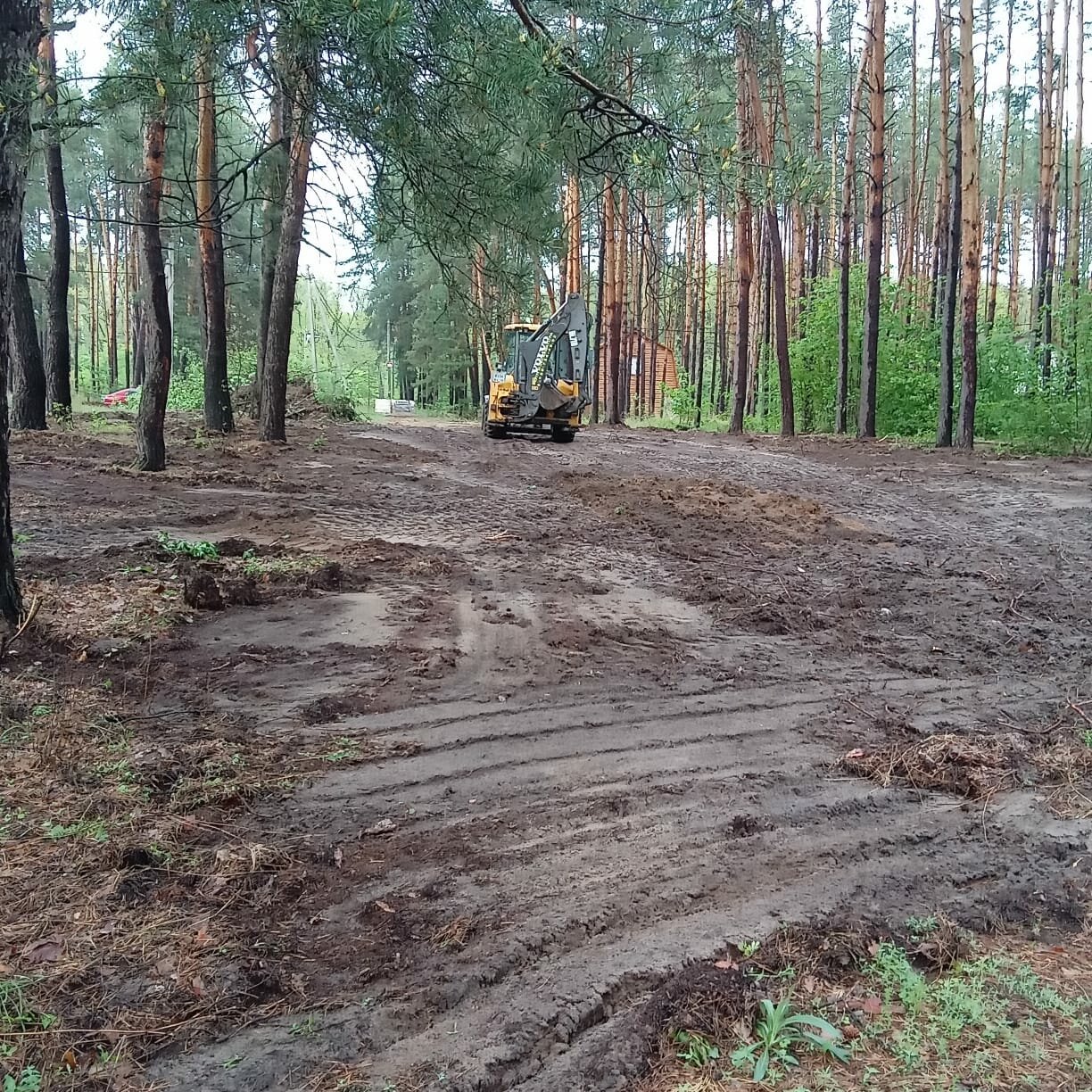 лесная дорога, лес, парк ёлочки в домодедово пруд в парке, лесной пустырь, грунтовые дороги на полигонах к