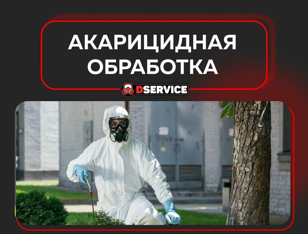 акарицидная обработка дезинфектор, акарицидная обработка реклама, акарицидная обработка, санитарная обработка, обработка от клещей