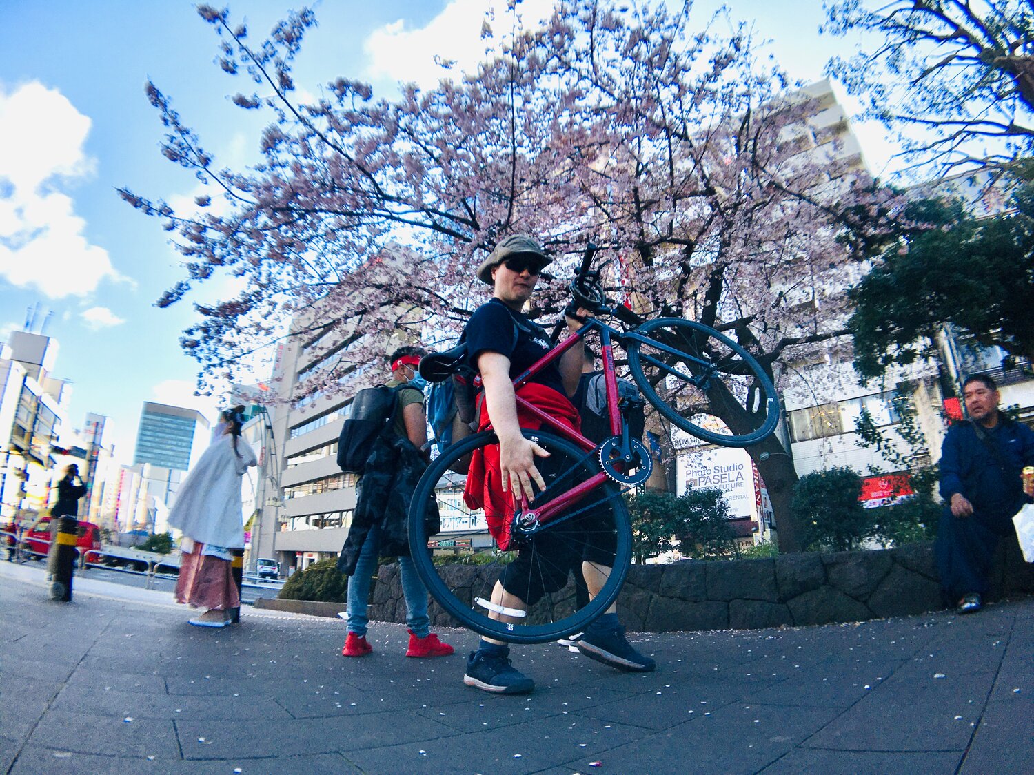 япония живой токио, ханами в токио, человек, япония, япония япония