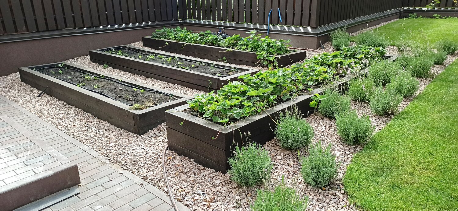 декоративный огород, треугольные грядки, грядка, грядки в огороде, деревянные грядки для огорода