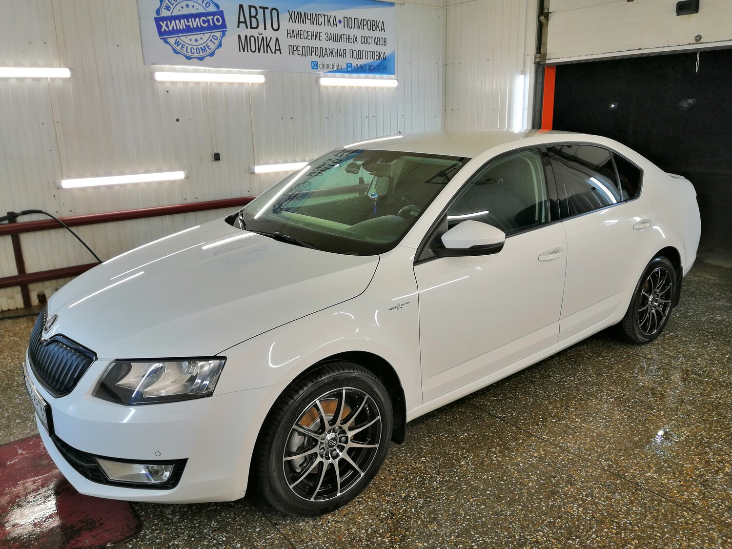 шкода октавия 2014 белая, белая шкода октавия, skoda octavia a7 2014 белая, шкода октавия 2014, Skoda Octavia III