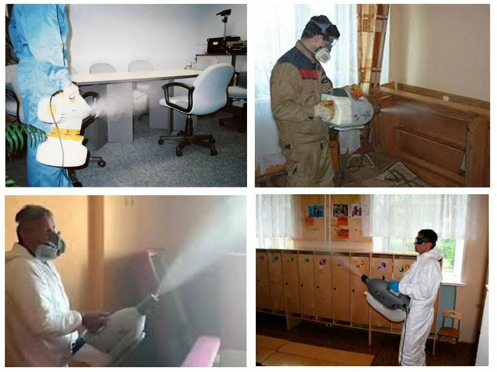 How To Get Rid of Bed Bugs Infestation Fast in 24 Hours! - YouTube