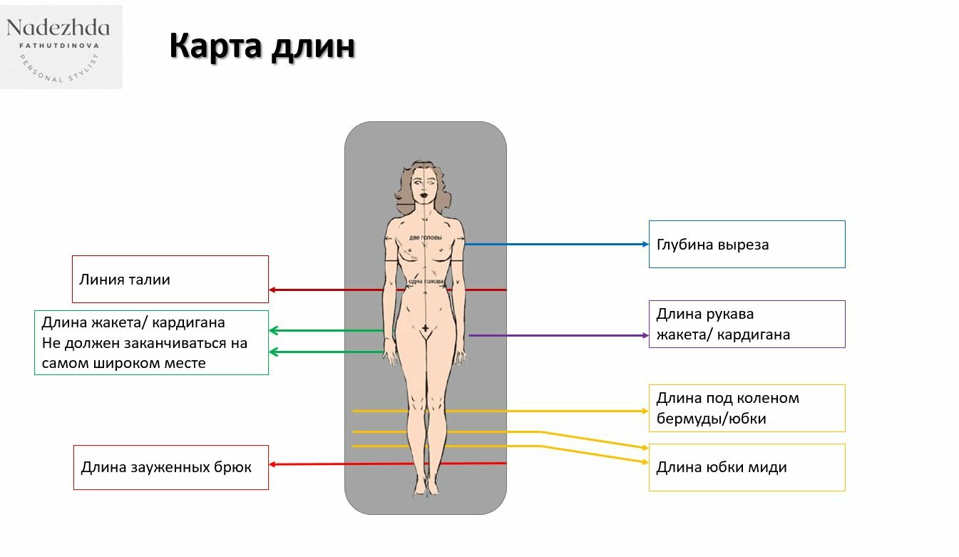 тела, пропорции женщины, длина, пропорции фигуры, пропорции фигуры мужчины и женщины