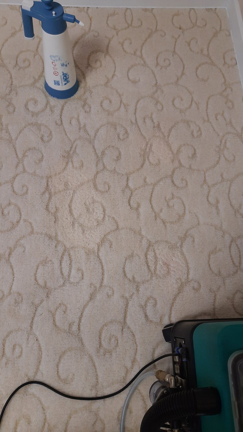ковролин ideal baroque 305, ковролин ideal baroque 337, ковролин, ковролин itc marta 039, ковролин ideal xanadu 303