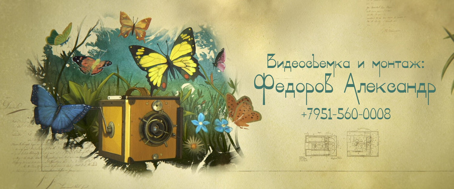 бабочки, скрап наборы для фотошопа война, открытка фотографу рисунок, цветок бабочка, винтажные картины