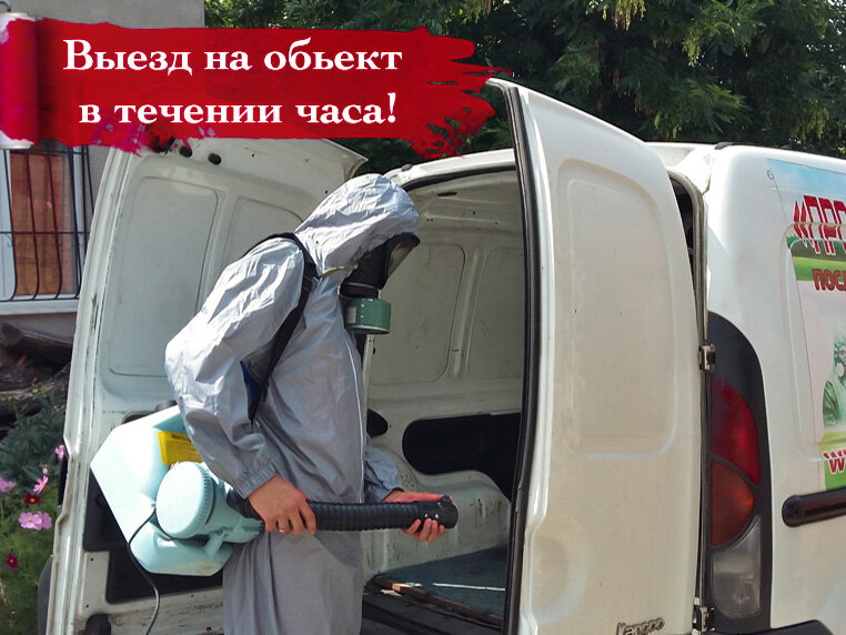 санобработка автомобиля, дезинфекция машины, дезинфекция автомобиля, машина дезинсекции, дезинфекция авто реклама