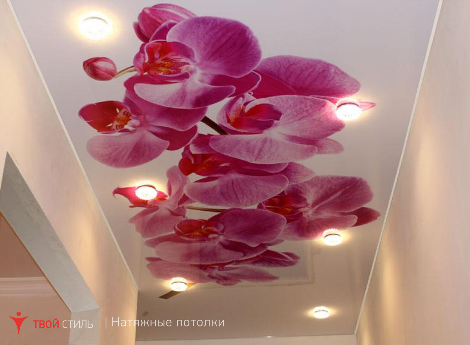 Натяжной Потолок С Рисунком Фото фото 12