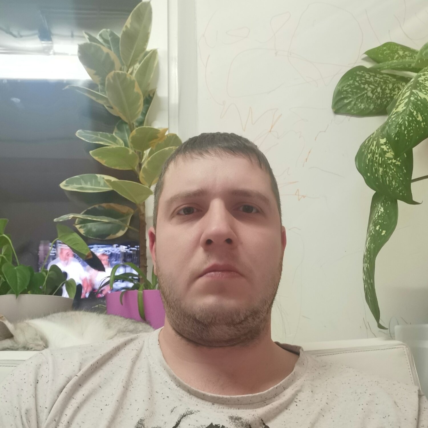 Алексей Демидов