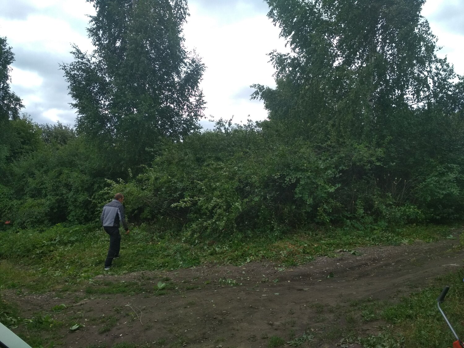 участок, природа, участки в деревне волково, участок в деревне, дачные участки