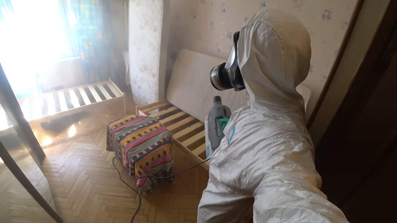 дезинсекция, дезинфекция от клопов, уничтожение клопов, дезинсекция и дератизация, дезинфекция от клопов ижевск