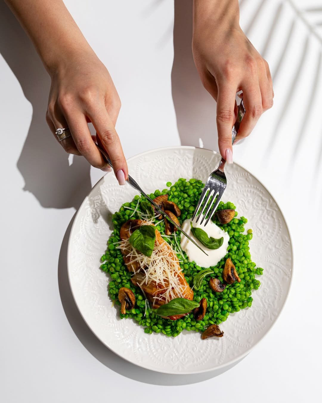 ������, ����������, ����������������, ���������� ���� ������������������������, ���������������� ����������