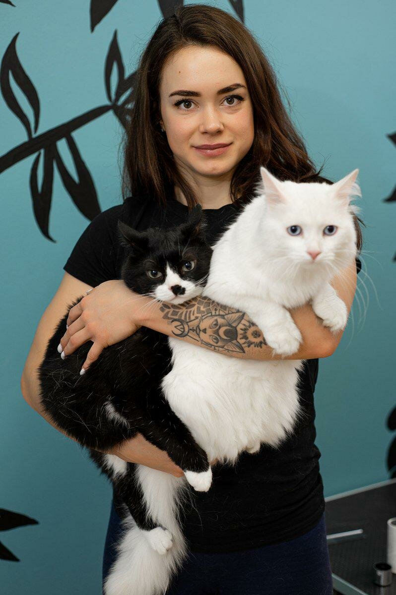 кошечка, котейка, кошка, кот, котики
