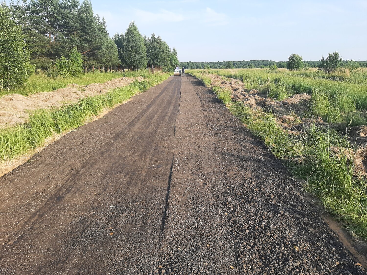 дорог, деревня малиновка тюменской области ишимского района, участок, дорога с холмогоровки на сельму, кювет дороги