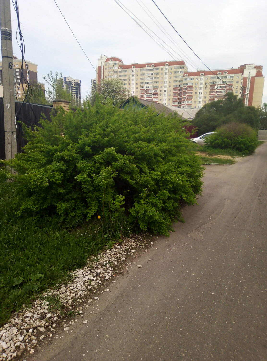 улица, парковая, район, алтуфьево, во дворе