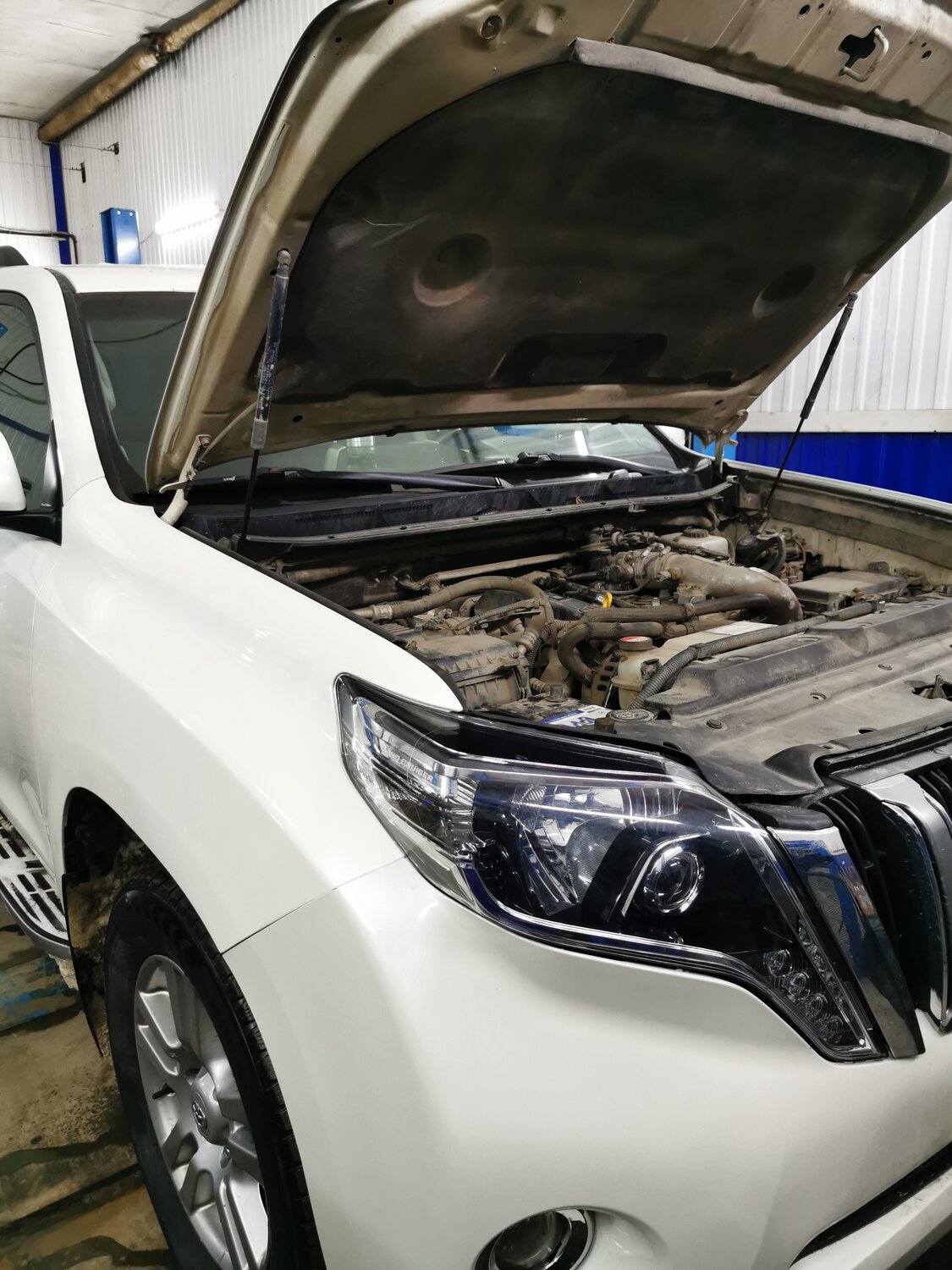 тойота ленд крузер 200 дизель открытый капот, автомобиль, авто, toyota land cruiser prado 150 двигатель, Toyota Camry Solara II